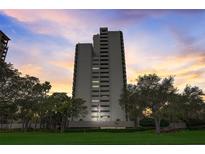 Stunning exterior view of a high-rise building set against a beautiful sunset sky with lush landscaping in the foreground at 4141 Bayshore Blvd # 306, Tampa, FL 33611