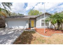 Charming single-story home with a yellow door, manicured front yard, and attached two-car garage at 2604 Shilo Ct, Valrico, FL 33596