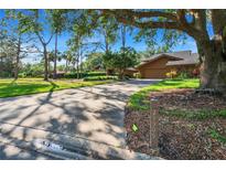 Charming single-story home with lush landscaping and a long private driveway leading to the attached garage at 29909 Baywood Ln, Wesley Chapel, FL 33543