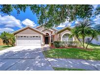 Charming single-story home with a well-manicured lawn and a two-car garage at 4503 Lace Cascade Ct, Lutz, FL 33558