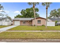 Charming single-story home featuring a well-maintained lawn and mature palm trees at 7234 Riverwood Blvd, Tampa, FL 33615