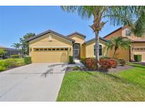 Charming single-story home with yellow facade, well-manicured lawn, and a two-car garage at 336 Silver Falls Dr, Apollo Beach, FL 33572