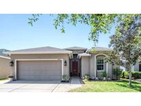 Charming single-story home with a two-car garage, well-maintained lawn, and a welcoming front entrance at 12107 Rambling Stream Dr, Riverview, FL 33569