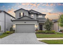 Beautiful two-story home featuring a paved driveway, two car garage and manicured front yard at 19926 Stone Pine Cir, Lutz, FL 33558