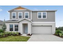 Charming two-story home featuring a two-car garage, well-maintained lawn, and modern architectural details at 14811 Summer Branch Dr, Lithia, FL 33547