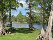 Scenic backyard view with mature trees and a serene waterfront, perfect for relaxation at 2513 Oakleaf Ln # 26C, Clearwater, FL 33763