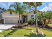 Charming single-story home with well-manicured lawn, mature palm trees, and a welcoming entrance at 11142 Spring Point Cir, Riverview, FL 33579