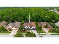 Beautiful home featuring a well-manicured lawn and mature trees, offering great curb appeal and a sense of privacy at 15045 Wind Whisper Dr, Odessa, FL 33556