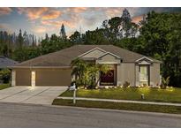 Inviting single-story home featuring a well-manicured lawn and attached three-car garage at 26249 Sword Dancer Dr, Wesley Chapel, FL 33544