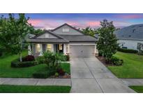 Charming single-story home with a well-manicured lawn and a two-car garage on a sunny day at 6642 Current Dr, Apollo Beach, FL 33572