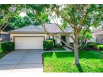 Charming single-story home featuring a well-maintained lawn and a two-car garage at 1510 Rushgrove Cir, Dover, FL 33527