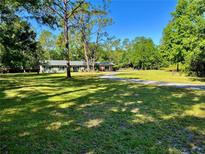 Sprawling front yard leading to a charming single-story home with mature trees providing shade at 4310 Lithia Pinecrest Rd, Valrico, FL 33596