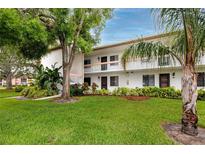 Inviting condo exterior with manicured lawn and tropical landscaping at 129 Lakeview Way, Oldsmar, FL 34677