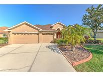 Charming home with a spacious driveway, three-car garage, and well-maintained landscaping in a sunny locale at 1408 Brilliant Cut Way, Valrico, FL 33594