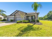 Charming single-story home featuring stone accents, manicured lawn, and a two-car garage at 19325 Hawk Valley Dr, Tampa, FL 33647