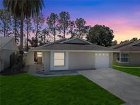 Charming single-story home with a well-maintained lawn and attached garage at 4722 Millpond Ln, Tampa, FL 33624