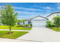 Charming one-story home featuring a two-car garage, beautifully landscaped front yard, and a well-maintained lawn at 12916 Brookside Moss Dr, Riverview, FL 33579