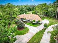 Stunning aerial view of a luxurious home featuring a circular driveway and lush landscaping at 2220 Muirfield Way, Oldsmar, FL 34677