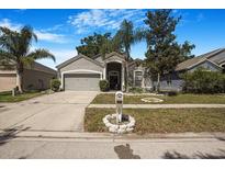 Charming single-Gathering home featuring a well-manicured lawn, mature trees, and a two-car garage in a quiet neighborhood at 13215 Beechberry Dr, Riverview, FL 33579