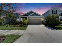 Charming single-Gathering home featuring a well-manicured front yard and a two-car garage at 7417 Sungold Meadow Ct, Apollo Beach, FL 33572