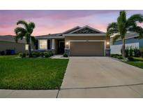 Charming single-story home showcasing a well-manicured lawn and beautiful curb appeal with palm trees at 16625 Goose Ribbon Pl, Wimauma, FL 33598