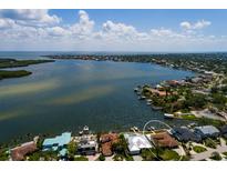 Beautiful waterfront home situated near the bay with a large backyard and boat dock at 2096 Tanglewood Ne Way, St Petersburg, FL 33702