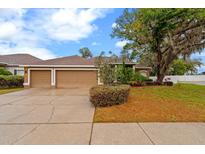 Charming single-story home featuring a manicured front lawn, mature tree, and a three-car garage at 2539 Centennial Falcon Dr, Valrico, FL 33596