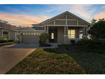 Charming single-story home featuring a landscaped front yard, covered porch, and attached two-car garage at 20146 Heritage Point Dr, Tampa, FL 33647