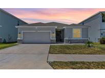 Charming single-story home with a well-manicured lawn and inviting curb appeal at 13757 Wineberry Dr, Dade City, FL 33525