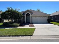 Well-maintained single-Gathering home with a lush green lawn, mature tree, and a two-car garage at 1415 Saddle Gold Ct, Brandon, FL 33511