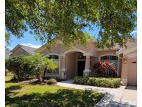 Charming single-story home featuring a manicured lawn, lush landscaping, and an inviting covered entryway at 16106 Bridgedale Dr, Lithia, FL 33547