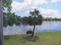 Lovely water view from the back porch, featuring a palm tree and blue skies with fluffy white clouds at 224 Cypress Ln # 224, Oldsmar, FL 34677