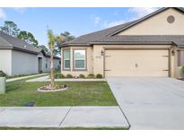 Charming single-story home with a two-car garage and manicured lawn and an accent tree at 8975 Southern Charm Cir, Brooksville, FL 34613