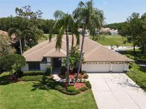 Beautifully landscaped home with a three-car garage and manicured lawn featuring mature palm trees at 1311 Fallsmeade Ct, Oldsmar, FL 34677