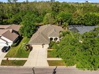 Expansive aerial view of a beige house featuring a three-car garage surrounded by mature trees at 15254 Bellamy Rd, Tampa, FL 33625