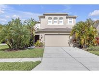 Two-story home featuring a two-car garage, well-maintained lawn, and lush tropical landscaping at 9107 Gablewood Pl, Land O Lakes, FL 34638