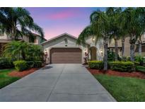 Beautiful single-story home featuring a well-manicured lawn and mature palm trees for added curb appeal at 29219 Perilli Pl, Wesley Chapel, FL 33543