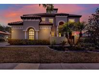 Elegant two-story home displaying a terra cotta tile roof, manicured landscaping, and a warm, inviting exterior at 8420 Dunham Station Dr, Tampa, FL 33647