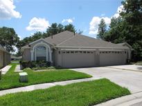 Charming single-story home featuring a well-maintained lawn, three-car garage and mature landscaping at 19232 Barred Owl Ct, Land O Lakes, FL 34638