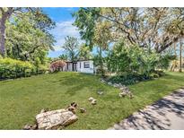 Charming single-story home with lush lawn, mature trees, and tasteful landscaping at 12116 N 52Nd St, Temple Terrace, FL 33617