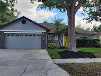 Charming single Gathering home featuring a light gray exterior, well maintained lawn and landscaping, and a two-car garage at 824 Greenbelt Cir, Brandon, FL 33510