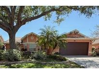 Charming single-story home with mature trees, manicured landscaping, and a spacious two-car garage at 965 Westwinds Blvd, Tarpon Springs, FL 34689