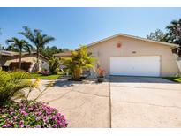 Charming single-story home with a well-maintained lawn, mature palms, and a two-car garage at 6001 19Th Ne St, St Petersburg, FL 33703