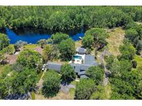Expansive aerial view of a home with a pool, nestled among lush greenery and bordering a tranquil lake at 898 Cypress Lakeview Ct, Tarpon Springs, FL 34688