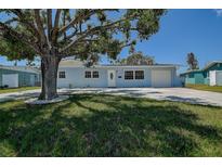 Charming single-story home featuring a large tree and a well-manicured front lawn at 3841 Wahoo Se Dr, St Petersburg, FL 33705