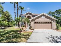 Beautiful two-story home featuring well-manicured lawn, a two-car garage, and mature palm trees at 19139 Cypress Reach Ln, Tampa, FL 33647