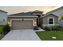 Beautiful single-Gathering home featuring a two-car garage, manicured lawn, and a welcoming entrance at 33034 Sand Creek Dr, Wesley Chapel, FL 33543