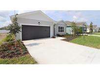 Charming single-story home with a well-manicured lawn and an attached two-car garage at 11834 Mile Marsh Dr, Riverview, FL 33569