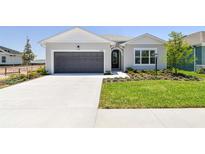 Charming single-story home with a gray exterior, well-manicured lawn, and a two-car garage at 11834 Mile Marsh Dr, Riverview, FL 33569