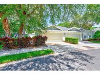 Charming single-story home with well-maintained landscaping and attached two-car garage at 8521 Acorn Ridge Ct, Tampa, FL 33625